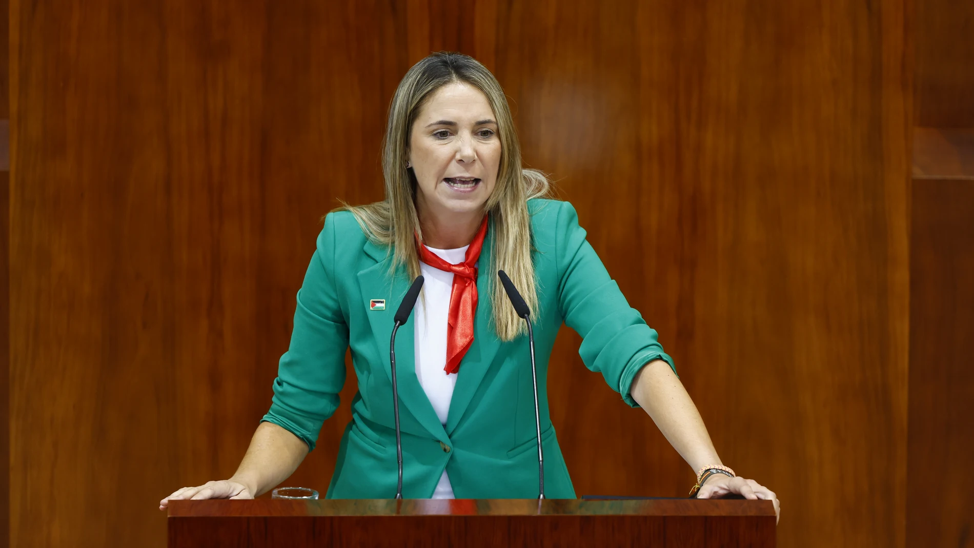Asamblea de Madrid. Debate sobre el Estado de la Regin.