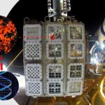 Uno de los experimentos realizados en la Estación Espacial Internacional