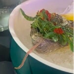 Fotograma del video donde se encuentra un gusano vivo en un plato de ostras