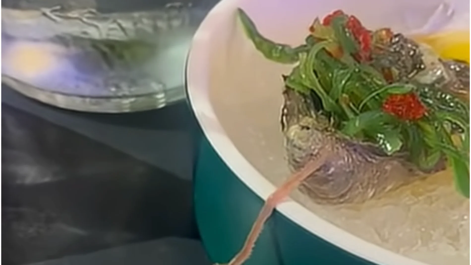 Fotograma del video donde se encuentra un gusano vivo en un plato de ostras