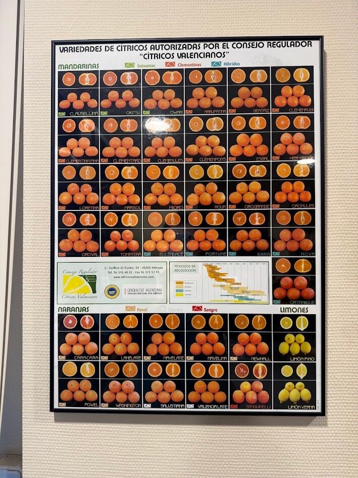 Las variedades de cítricos aprobadas en la Comunitat Valenciana