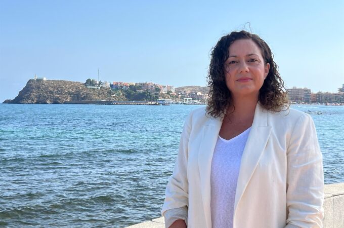MURCIA.-Román (PP): "El Gobierno de López Miras ya ha eliminado de las plataformas más de 1.200 pisos turísticos ilegales"