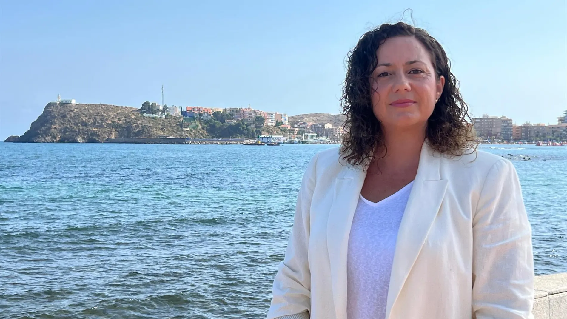 MURCIA.-Román (PP): "El Gobierno de López Miras ya ha eliminado de las plataformas más de 1.200 pisos turísticos ilegales"