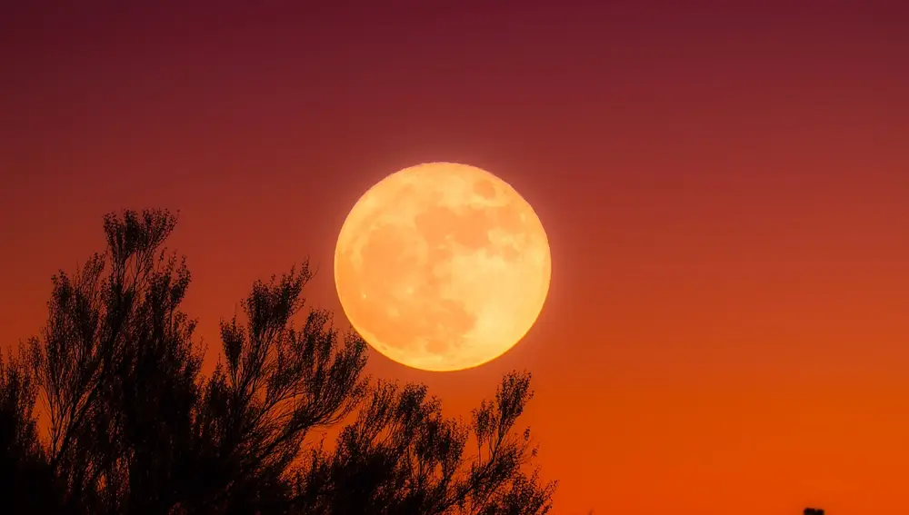 Luna de la cosecha