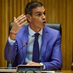 El presidente del Gobierno, Pedro Sánchez, preside la reunion del grupo PSOE en el Congreso de los Diputados. 