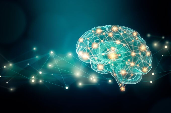 Detección precoz, intervención multimodal y nutrición médica, el nuevo paradigma para retrasar el Alzheimer