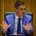 El presidente del Gobierno, Pedro Sánchez, preside la reunion del grupo PSOE en el Congreso de los Diputados. 