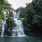 Los científicos capturan las primeras imágenes de peces raros escalando cascadas: "Estos hallazgos resaltan la importancia de las observaciones de campo"