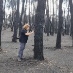 La Catedrática de Ecología de la ULE Elena Marcos en la zona quemada por el incendio de Castrocalbón (León)