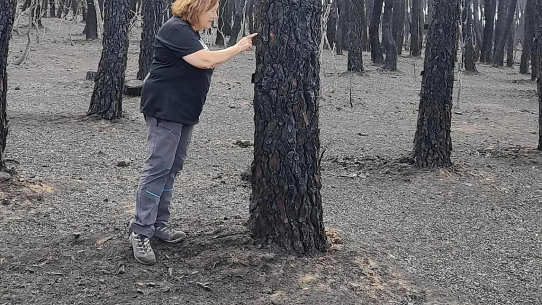 La Catedrática de Ecología de la ULE Elena Marcos en la zona quemada por el incendio de Castrocalbón (León)