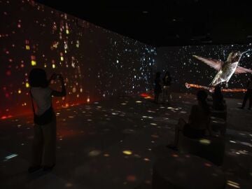 CaixaForum de Barcelona propone un viaje a la naturaleza en una exposición inmersiva