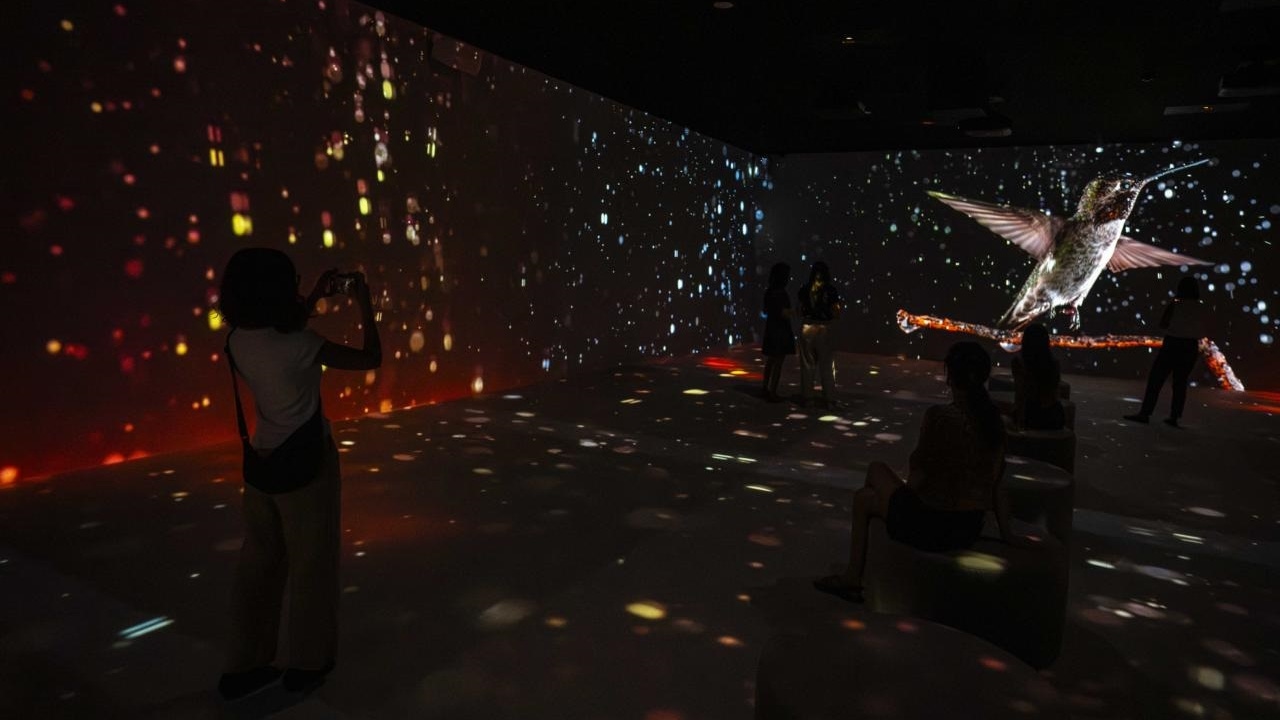 CaixaForum abre la selva virtual de National Geographic