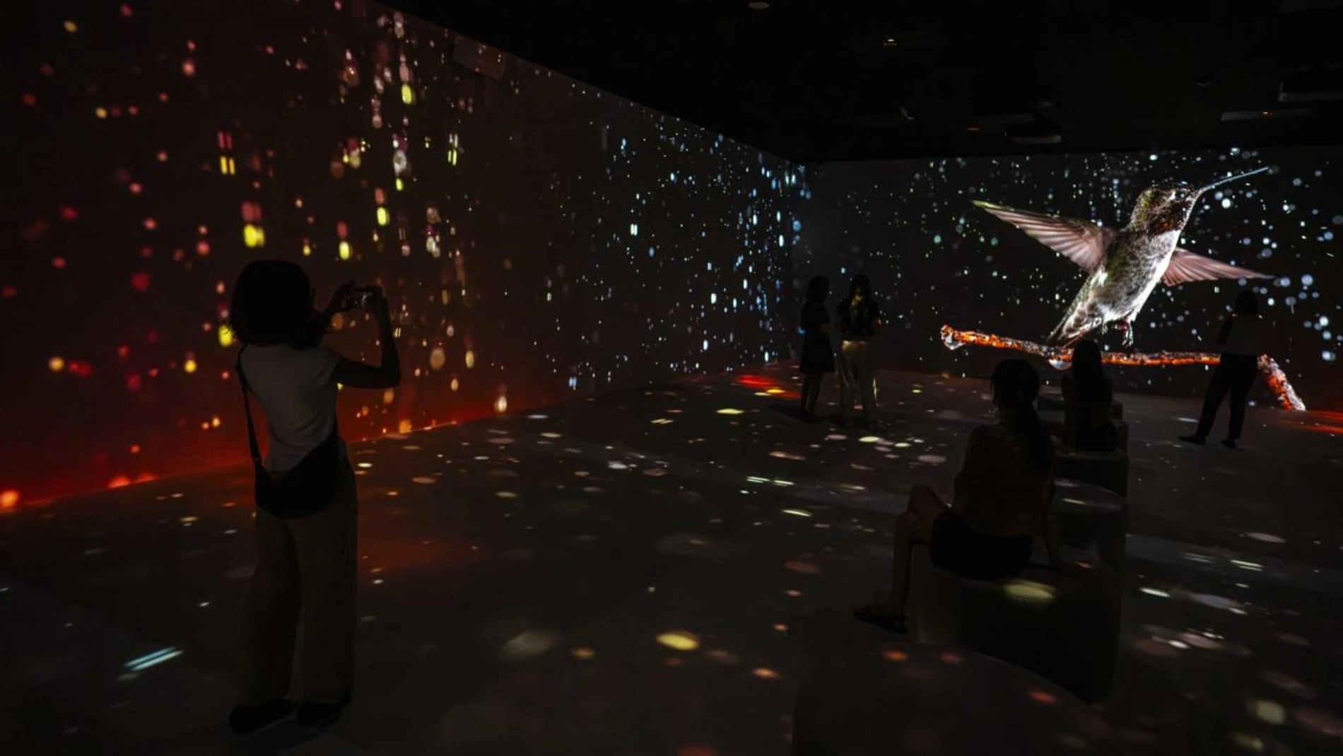 Exposición 'Somos Naturaleza' en CaixaForum de Barcelona REMITIDA / HANDOUT por FUNDACIÓ LA CAIXA Fotografía remitida a medios de comunicación exclusivamente para ilustrar la noticia a la que hace referencia la imagen, y citando la procedencia de la imagen en la firma 17/09/2025