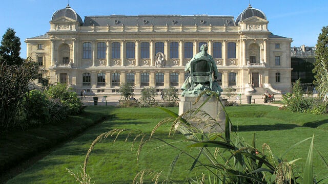 El Museo de Historia Natural de París sufre un "inestimable" robo del oro de sus colecciones
