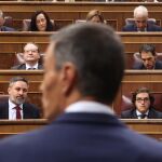 Abascal ve a Sánchez capaz de una "trampa electoral" que "altere" el resultado: "Ya ha demostrado que no tiene límites"