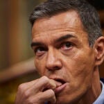 El presidente del Gobierno, Pedro Sánchez, ayer en el Congreso