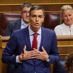 Sesión de control al Gobierno en el Congreso de los Diputados. Comparecen el presidente del Gobierno Pedro Sánchez, María Jesús Montero, Félix Bolaños, Fernando Grande-Marlaska, Oscar Puente. Asisten por el PP Alberto Nuñez Feijoo, Ester Muñoz, Miguel Tellado, por Vox Santiago Abascal, y Gabriel Rufian (ERC), Míriam Nogueras (Junts per Catalunya) y Mertxe Aizpurua por (Bildu) 