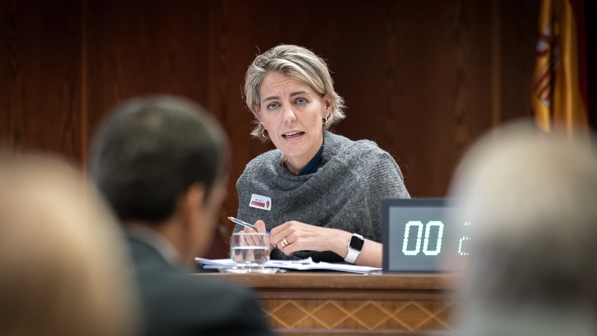 La directora de Regulación de la Asociación de Empresas de Energía Eléctrica (AELEC), Marta Castro Pérez-Chirinos, comparece ante la Comisión de Investigación sobre la interrupción del suministro eléctrico y de las comunicaciones el 28 de abril de 2025, en el Senado, a 18 de septiembre de 2025, en Madrid (España). Durante su comparecencia, ha expuesto su visión sobre el informe "Análisis de los acontecimientos que condujeron al cero eléctrico del 28 de abril de 2025", elaborado por Compass Le...