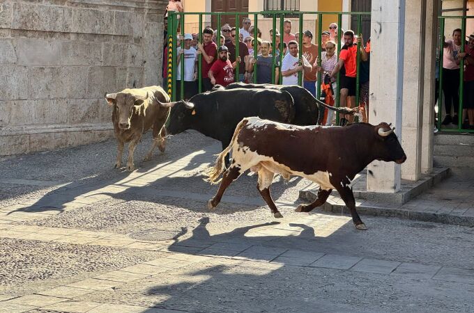 Encierro en Mondéjar 