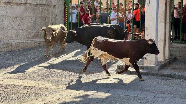 Encierro en Mondéjar 