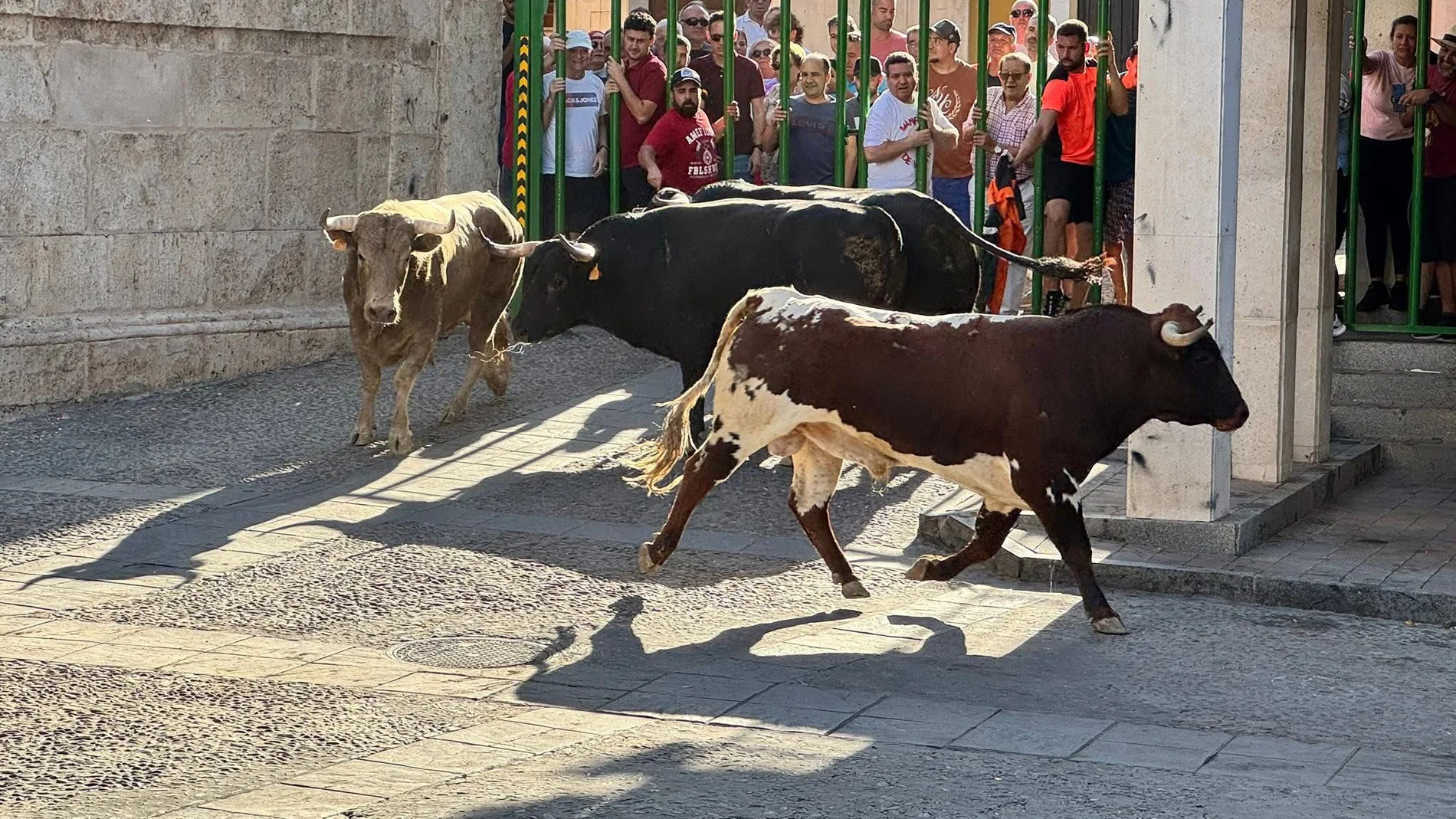 Encierro en Mondéjar
