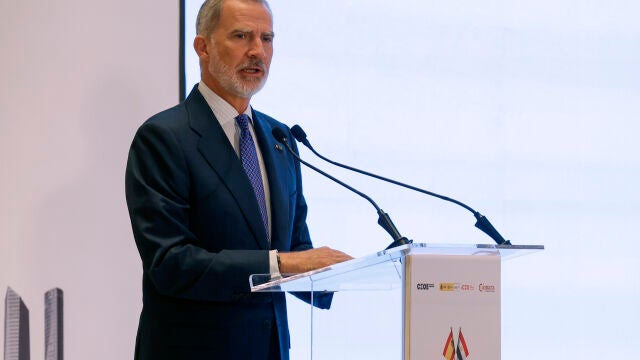 El rey Felipe VI participa en un desayuno de trabajo con empresarios egipcios y españoles en El Cairo con motivo de su viaje oficial al país