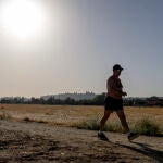 Una persona paseando por campos de cultivo con Toledo de fondo