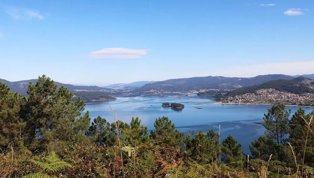 La Isla de San Simón vista desde el mirador.