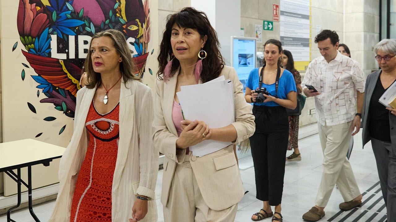 La vocal del Observatorio contra la Violencia de Género y una juez de la AN alertaron sobre las pulseras antimaltrato