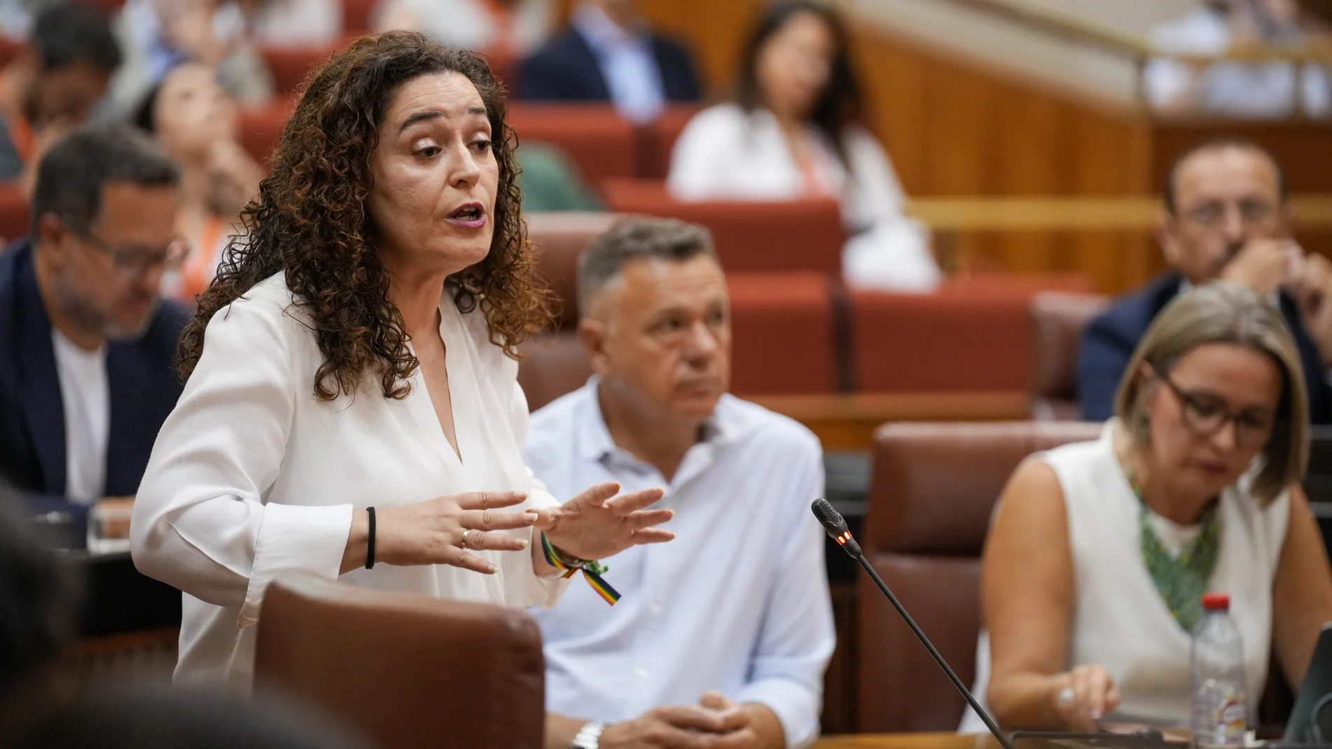 La portavoz de «Por Andalucía», Inmaculada Nieto, en el Parlamento autonómico