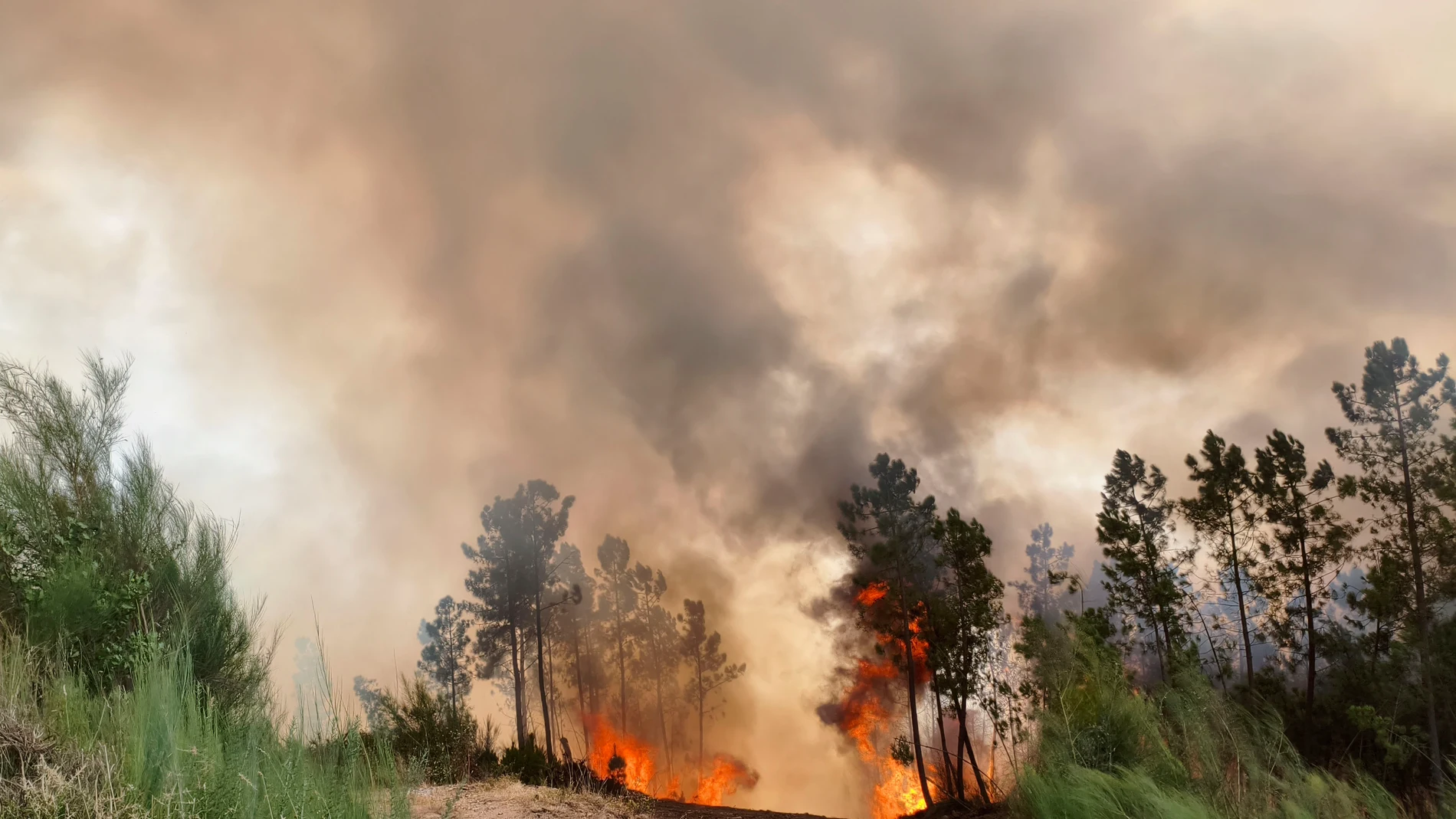 GRAF7864. LORNÍS (LUGO), 19/09/2025.- Vista del nuevo incendio forestal que comenzó en el Cañón del Sil y obligó a cortar la vía del tren entre Ourense y Monforte preocupa por la cercanía de las llamas a casas, sobre todo en San Cosmede y Lornís (en la imagen). EFE/Josetxu Ortiz