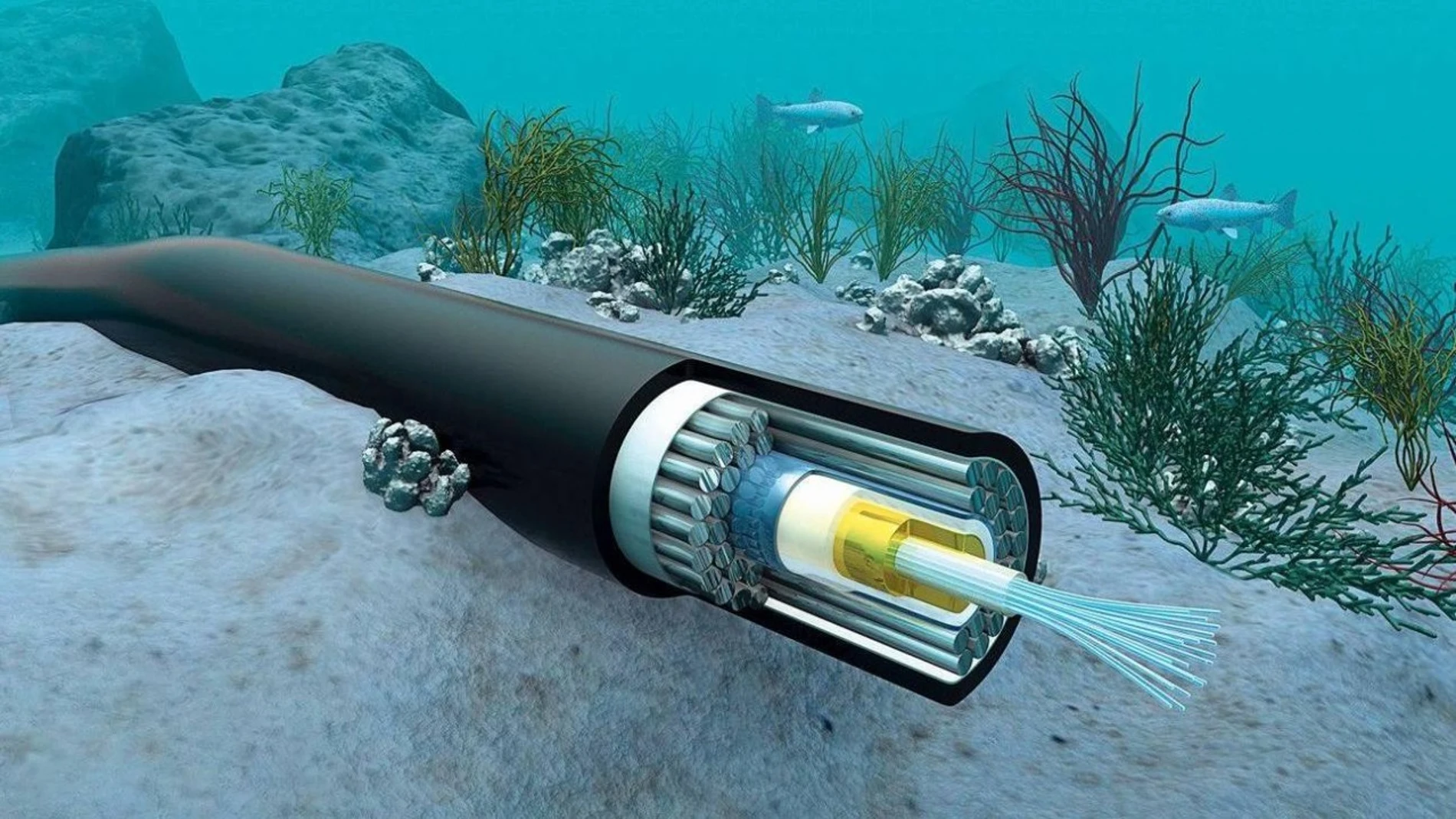 Así defendería la OTAN sus infraestructuras submarinas "críticas" ante un ataque de Rusia