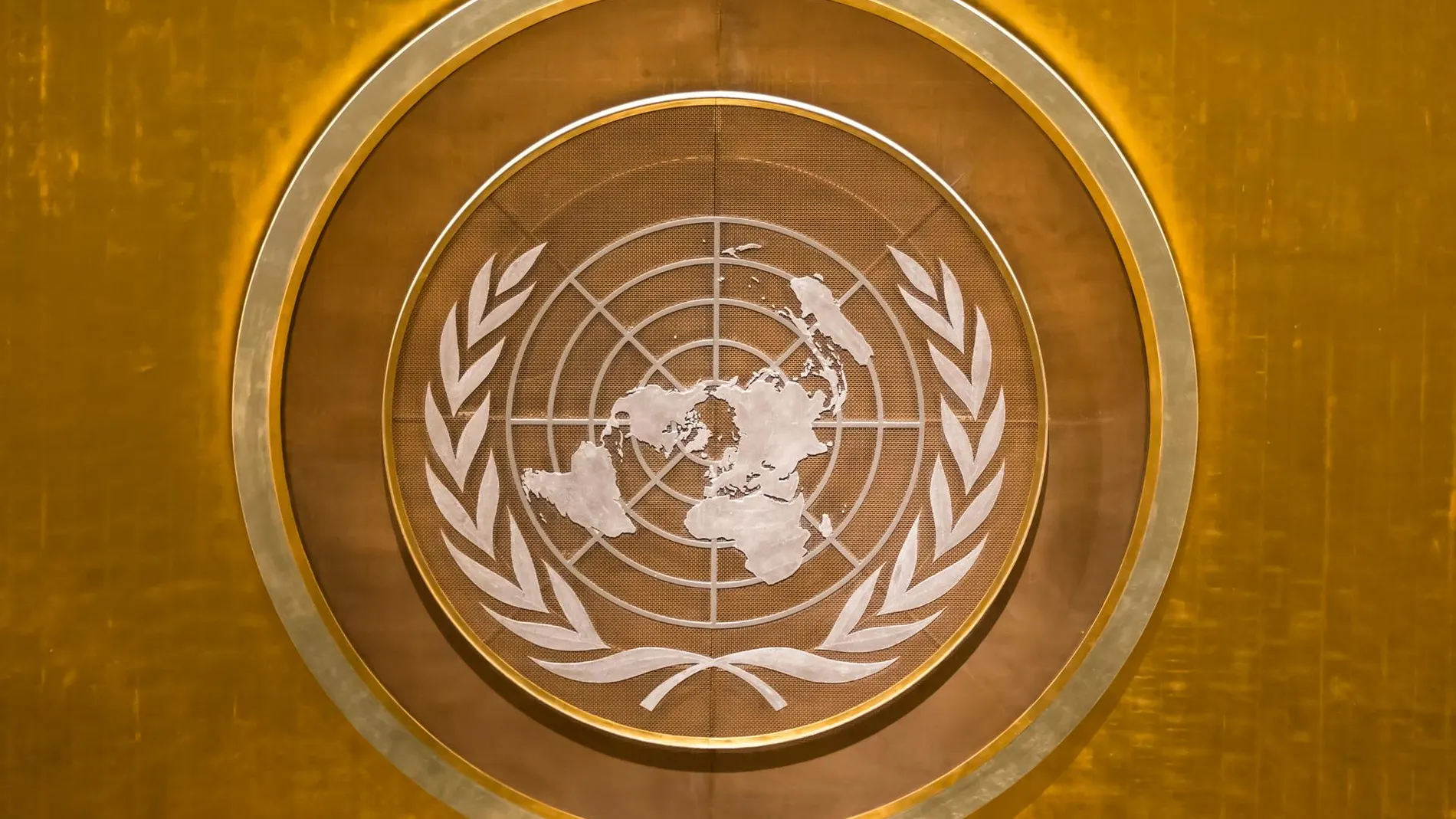 ONU.- La ratifiación por parte de 60 países activa la entrada en vigor del Tratado de Biodiversidad en Alta Mar