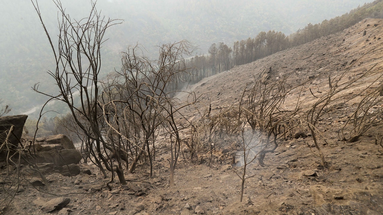 Sigue activo el incendio de Pantón tras arrasar 2.000 hectáreas, extinguido el de A Fonsagrada y controlado el de Lobios
