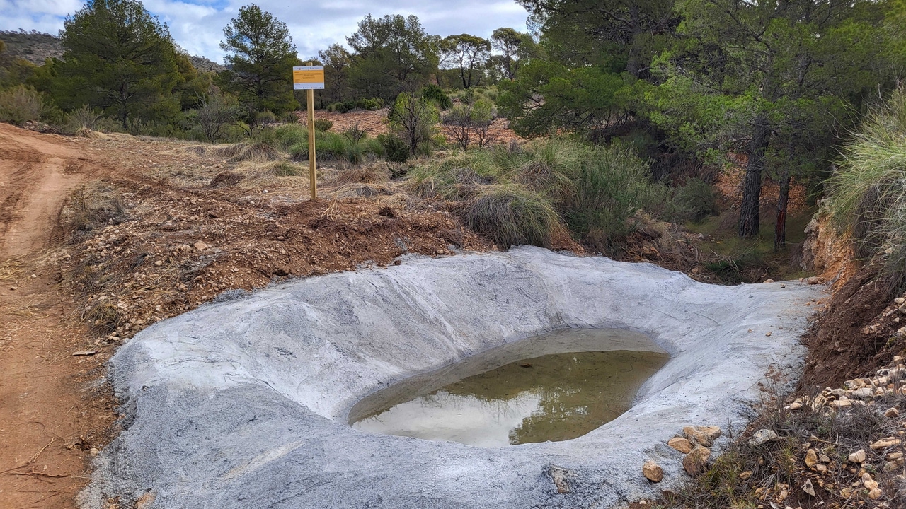 La Comunidad impulsa la conservación de la fauna protegida en Jumilla, Lorca y Moratalla