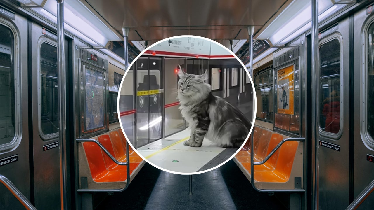 Así creó un youtuber una ciudad en miniatura para sus gatos: "Parecen personas"