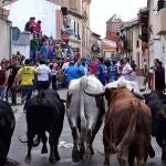 Encierro de la localidad vallisoletana de Mayorga