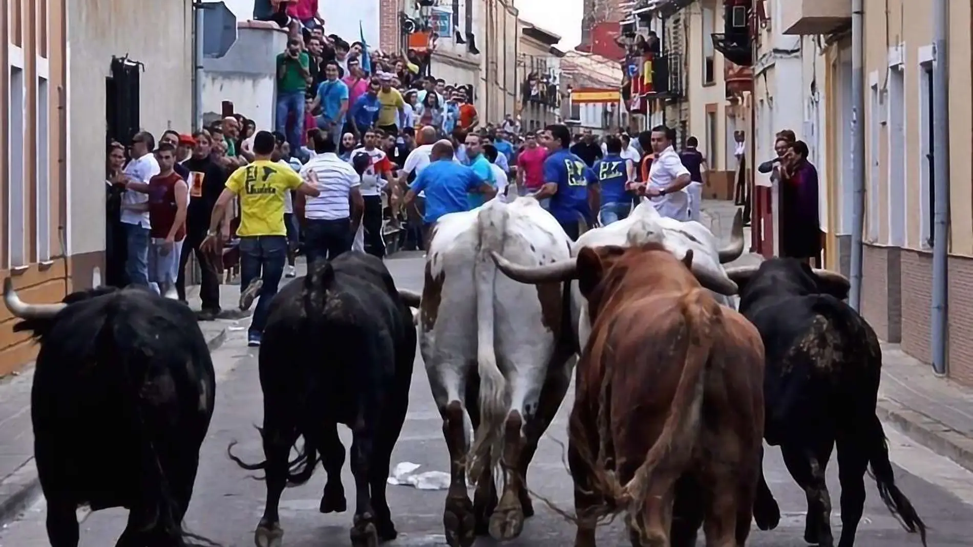Encierro de la localidad vallisoletana de Mayorga