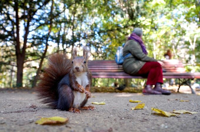 El frío se instala en otoño en Castilla y León