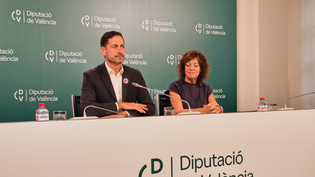 El PSPV denuncia la pérdida de una subvención europea de dos millones para una planta de biomasa por parte de la Diputación de Valencia