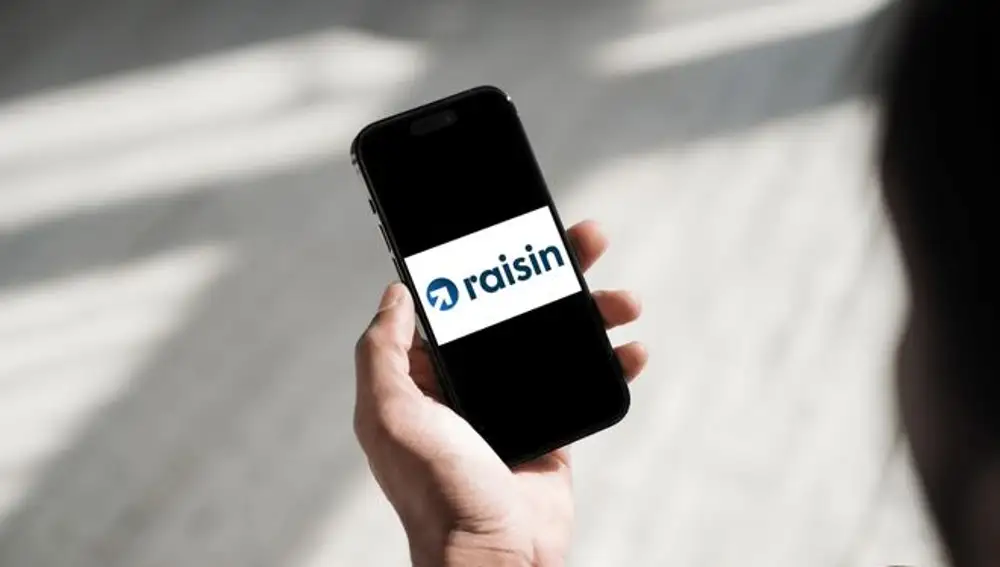 Raisin