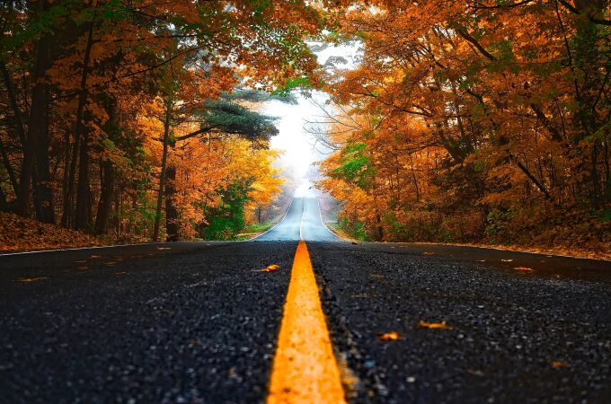 Carretera vacía en otoño