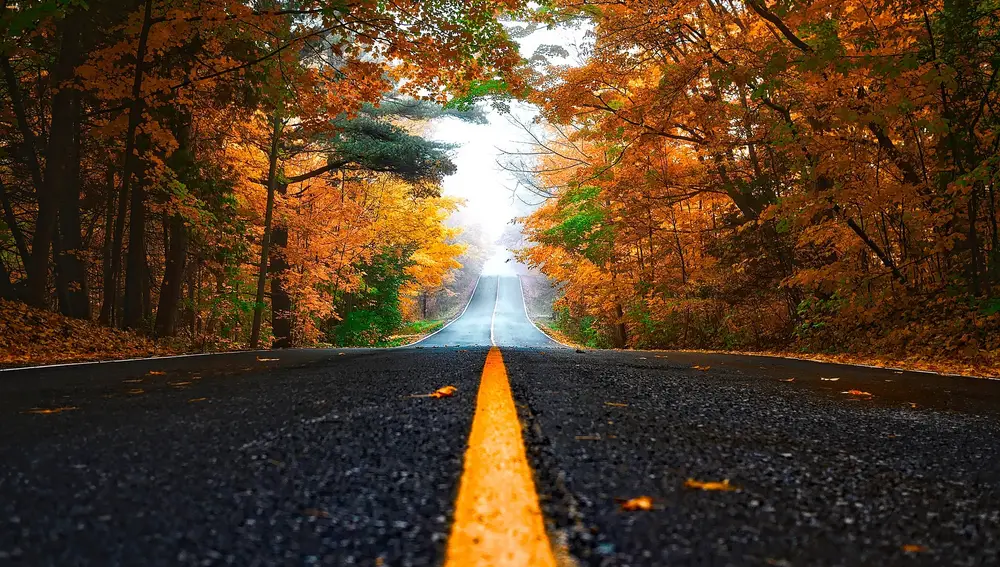 Carretera vacía en otoño