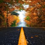 Carretera vac&iacute;a en oto&ntilde;o