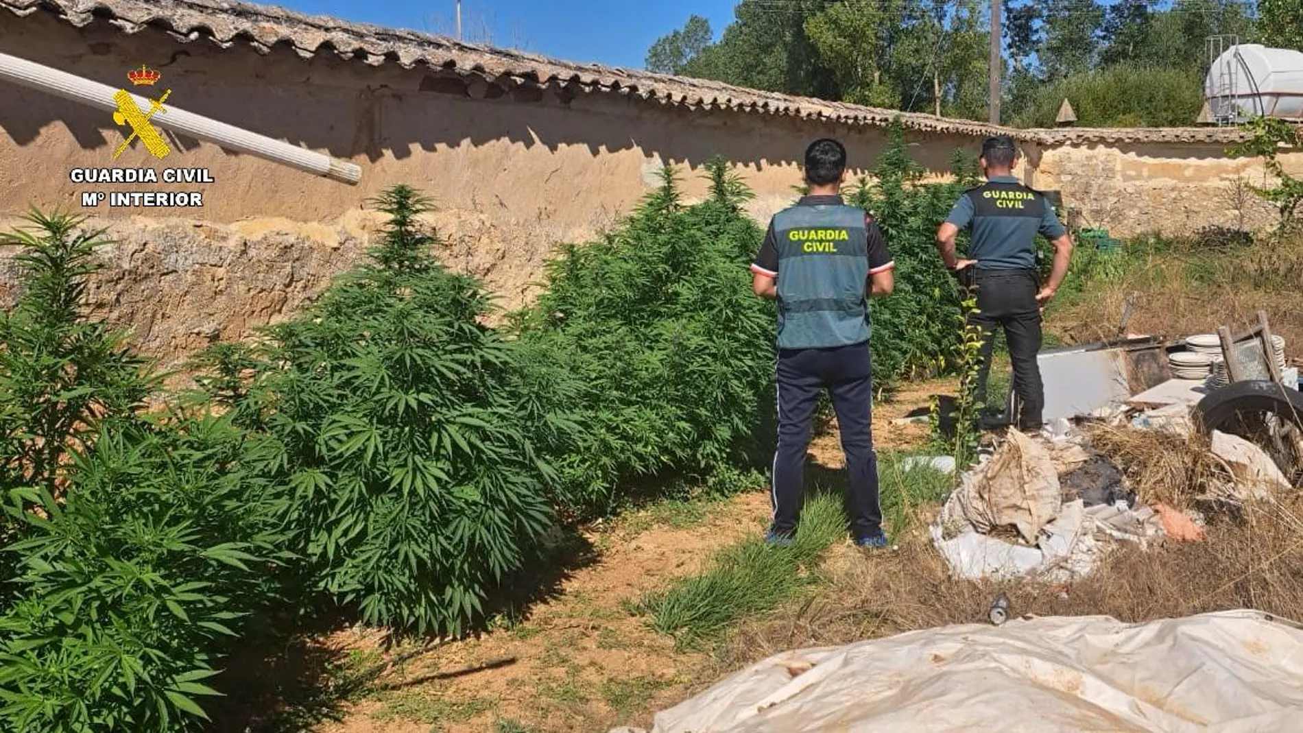 Agentes de la Guardia Civil con la plantación