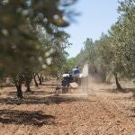 Los productores andaluces y la Junta rechazan los planes de la Comisión Europea en torno a la PAC