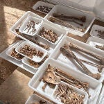 Hallan restos de 72 personas en dos fosas comunes en un parque de Ca&ntilde;ada Rosal (Sevilla)