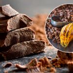 Como cultivar cacao en casa y producir tu propio chocolate: aunque vivas en la ciudad y tengas poco espacio