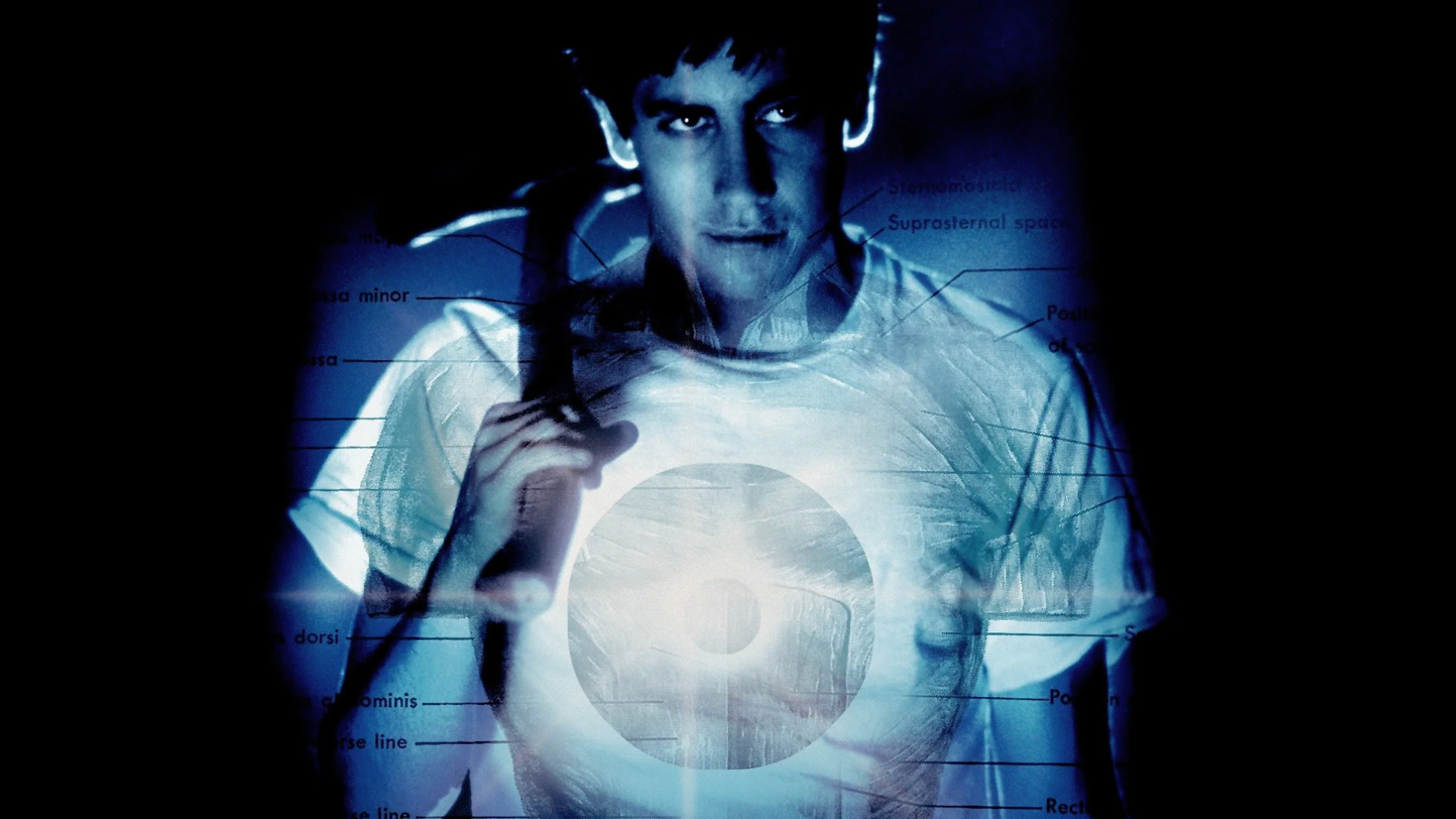 El misterioso conejo Frank guía al joven protagonista hacia un destino inquietante
