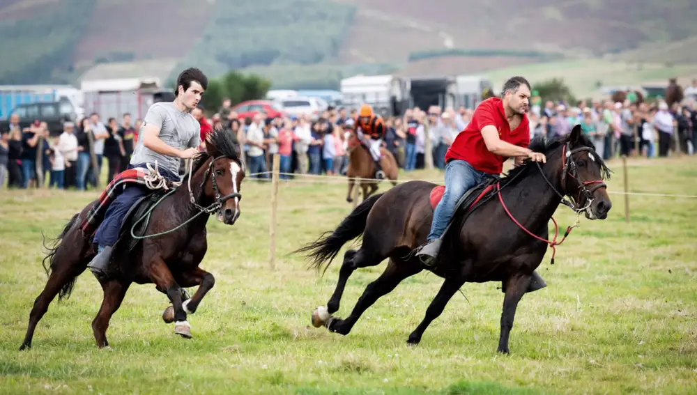 Carrera de caballos